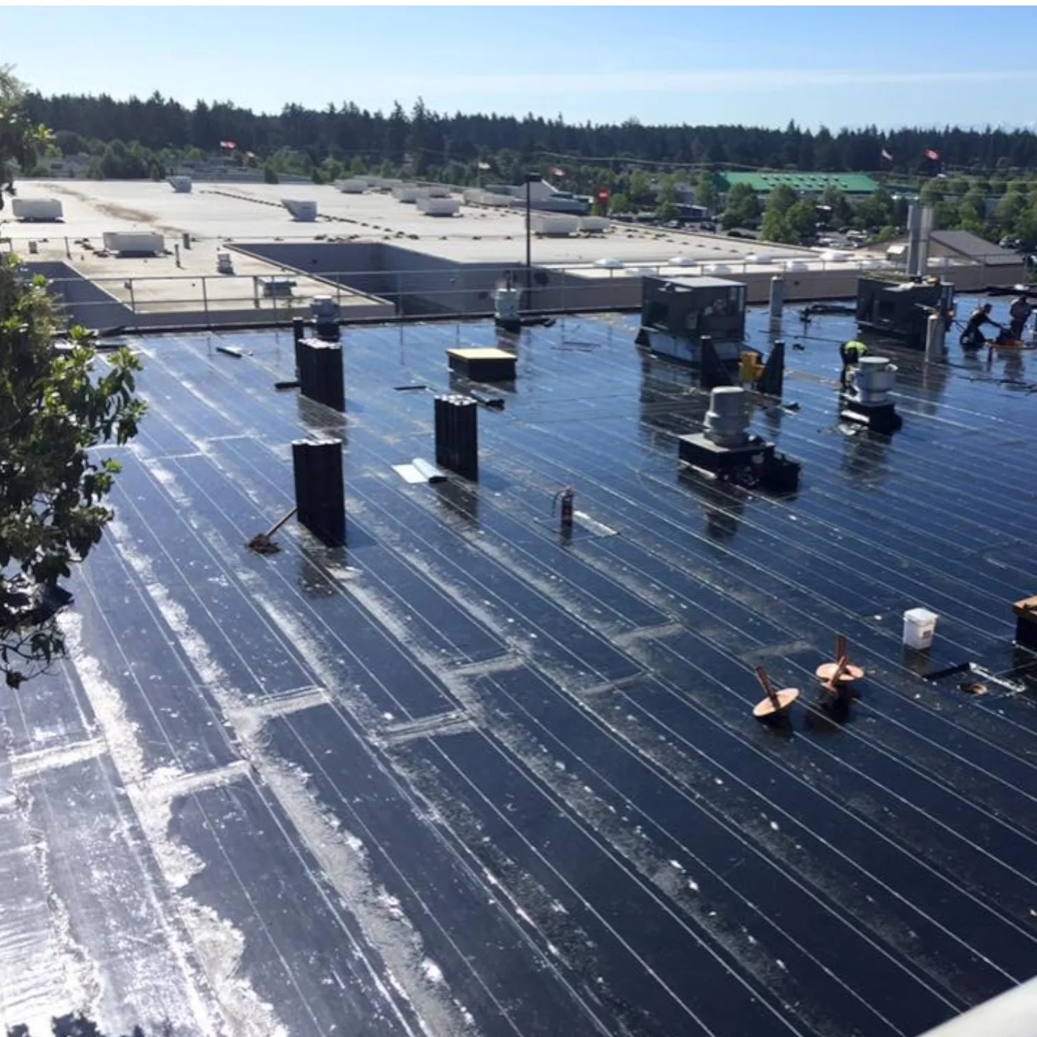 Commercial flat roofing services on an Edmonton commercial property